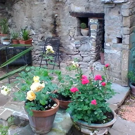 Al Museo Ponte dellʼOlio