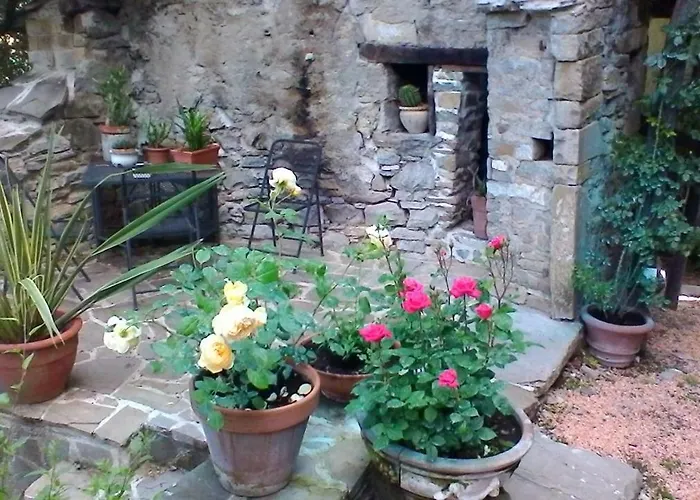 Al Museo Ponte dellʼOlio